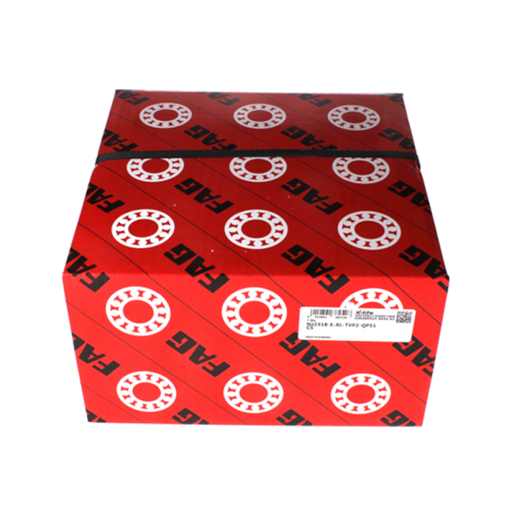 NJ2318-E-XL-TVP2-QP51-C5